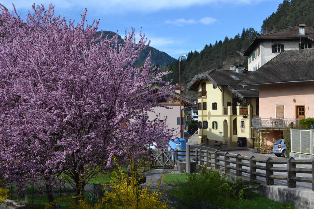 B&B La Tana Dell'Orso - Die Baerenhoehle Castello-Molina di Fiemme Exterior foto